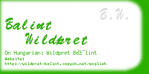 balint wildpret business card